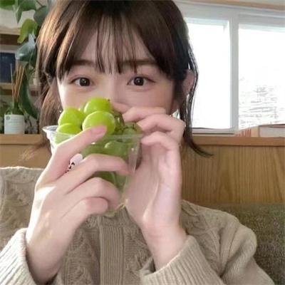 警花燕子